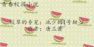 骑士精神2登录错误怎么解决-快捷高效的有问必答平台